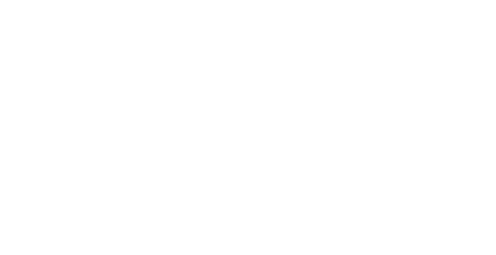 MR. PIT Aircraft Detailing